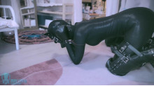 黒マンバ + ヒューマノイド犬
